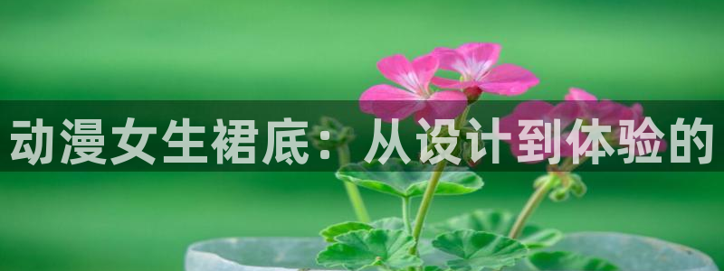 喵趣漫画完结大全：动漫女生裙底：从设计到体验的配图