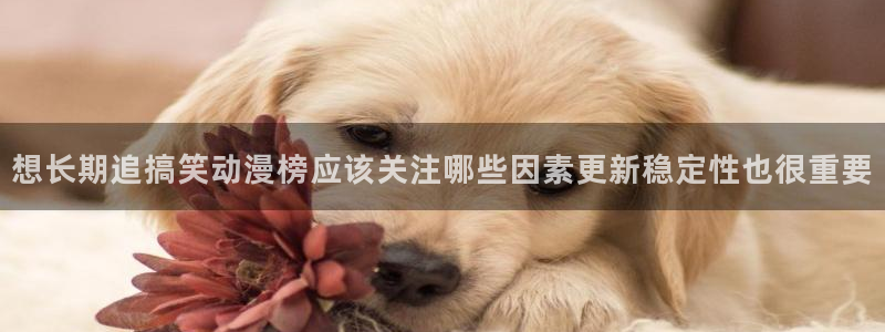 喵趣漫画大全免费:想长期追搞笑动漫榜应该关注哪些因素更新稳定性也很重要配图