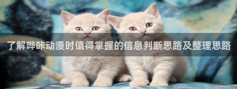 喵趣漫画手机在线阅读：了解哔咔动漫时值得掌握的信息判断思路及整理思路配图