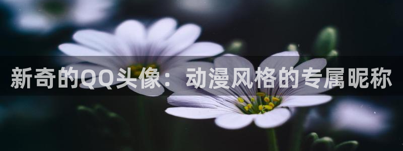 喵趣漫画更新:新奇的QQ头像:动漫风格的专属昵称配图