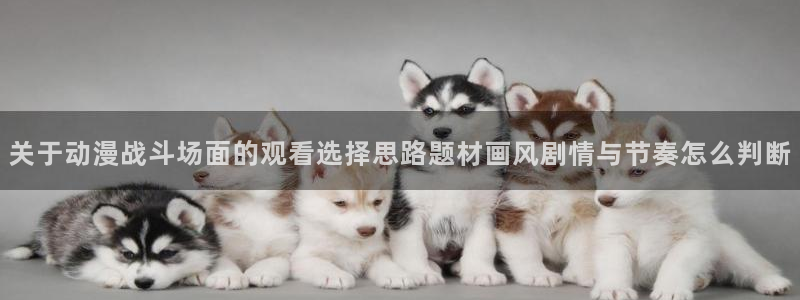 喵趣漫画最近更新:关于动漫战斗场面的观看选择思路题材画风剧情与节奏怎么判断配图
