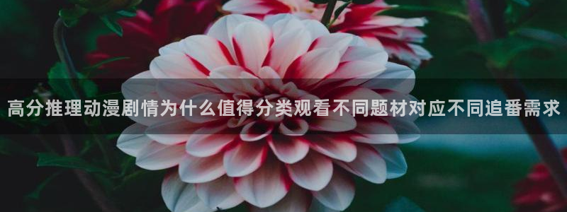 喵趣漫画中文在线阅读:高分推理动漫剧情为什么值得分类观看不同题材对应不同追番需求配图