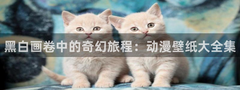 喵趣漫画最新分类:黑白画卷中的奇幻旅程:动漫壁纸大全集配图
