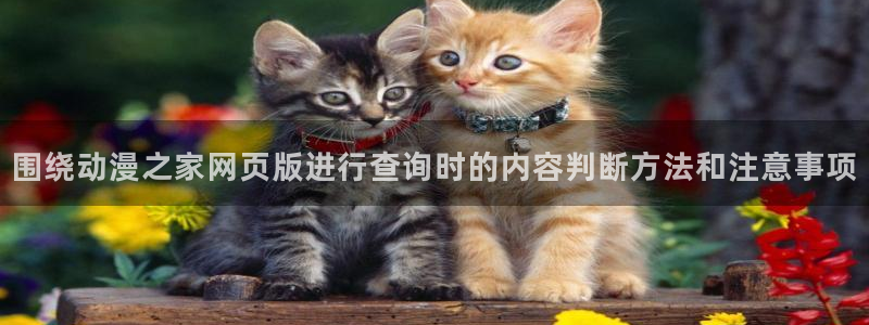 喵趣漫画章节在线阅读:围绕动漫之家网页版进行查询时的内容判断方法和注意事项配图